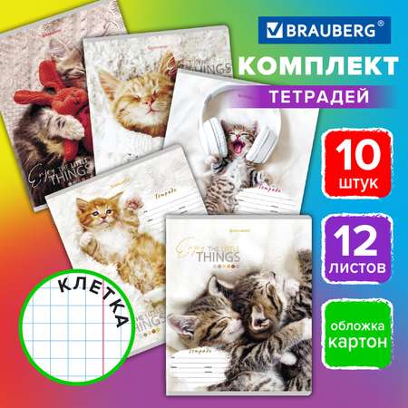 Тетрадь Brauberg клетка 12 лист. 10 шт.