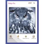 Набор для творчества Hobby Pro вышивание