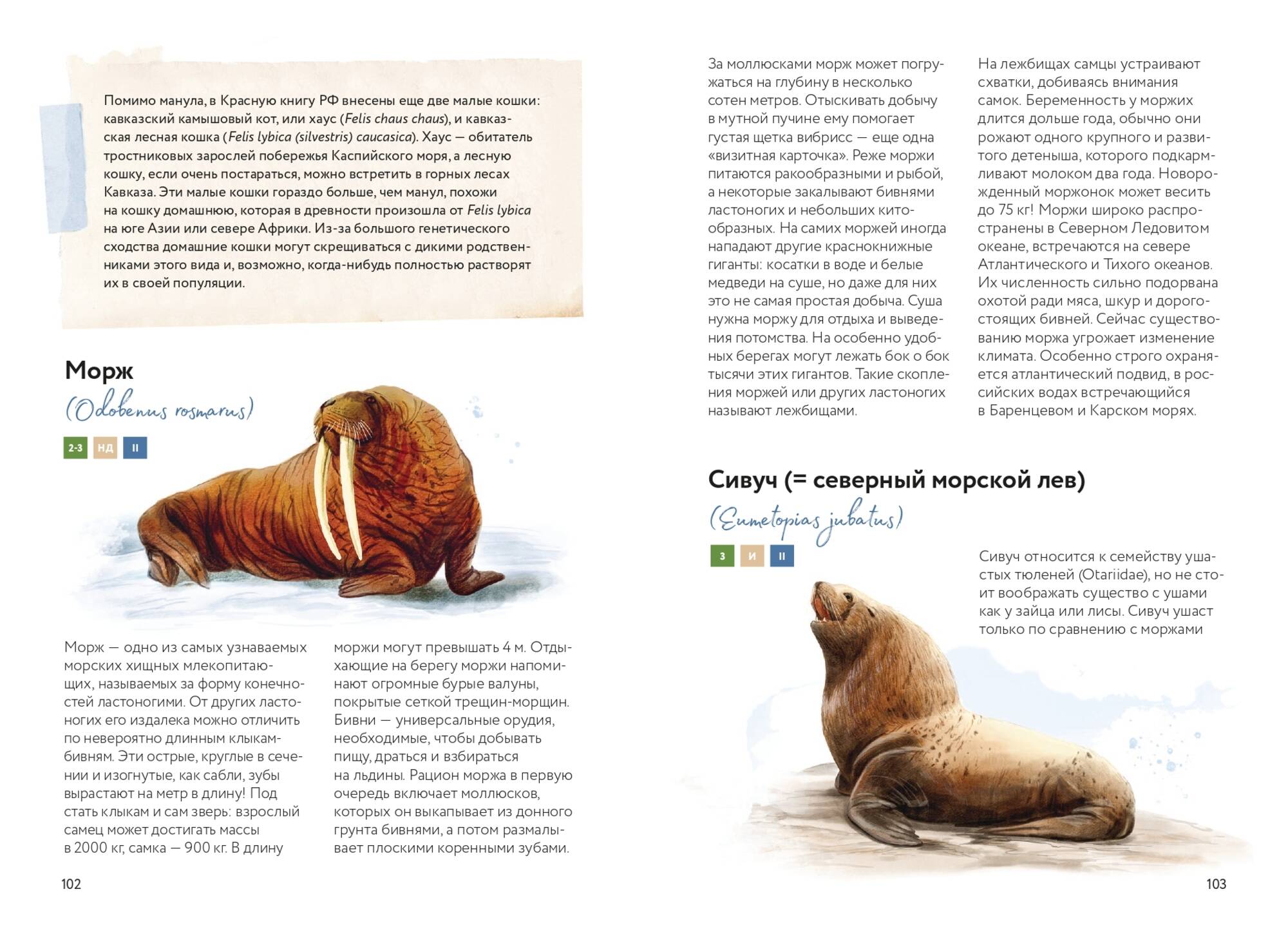 Книга Миф Красная книга России Все основные виды - фото 16