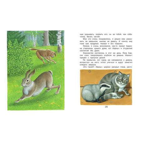 Книга Русич Скребицкий. Рассказы для детей