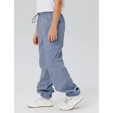 Брюки Lemonwear