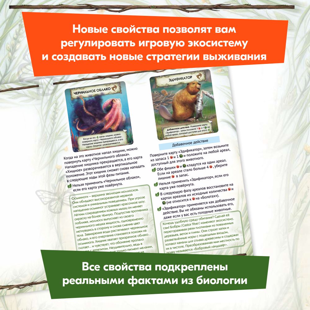Настольная игра Правильные Игры - фото 8