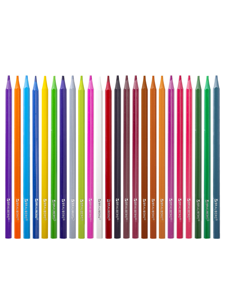 Карандаши цветные Brauberg 24 шт. - фото 4