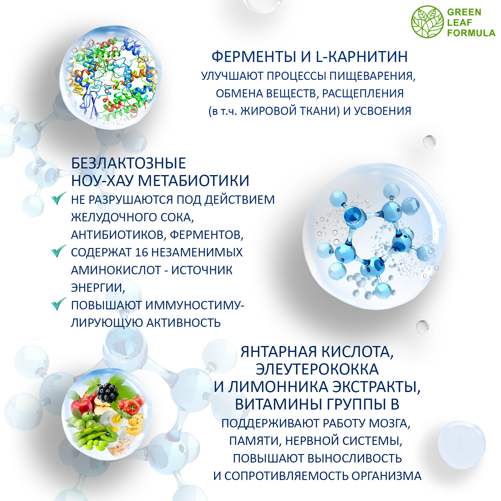 Набор для энергии и выносливости Green Leaf Formula работоспособность L-тирозин йод метабиотик L-карнитин - фото 5