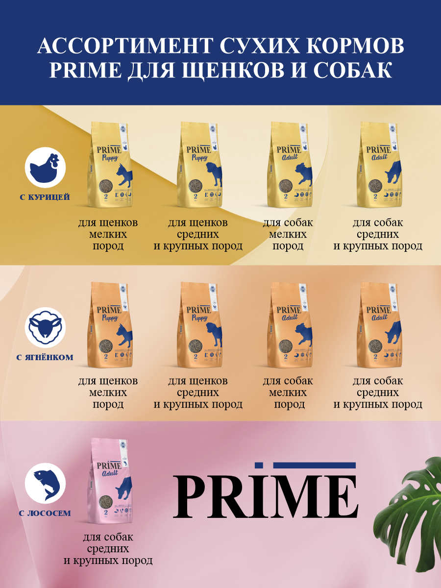 Корм для собак сухой Prime для здоровой кожи и для шерсти на лососе 2кг - фото 8