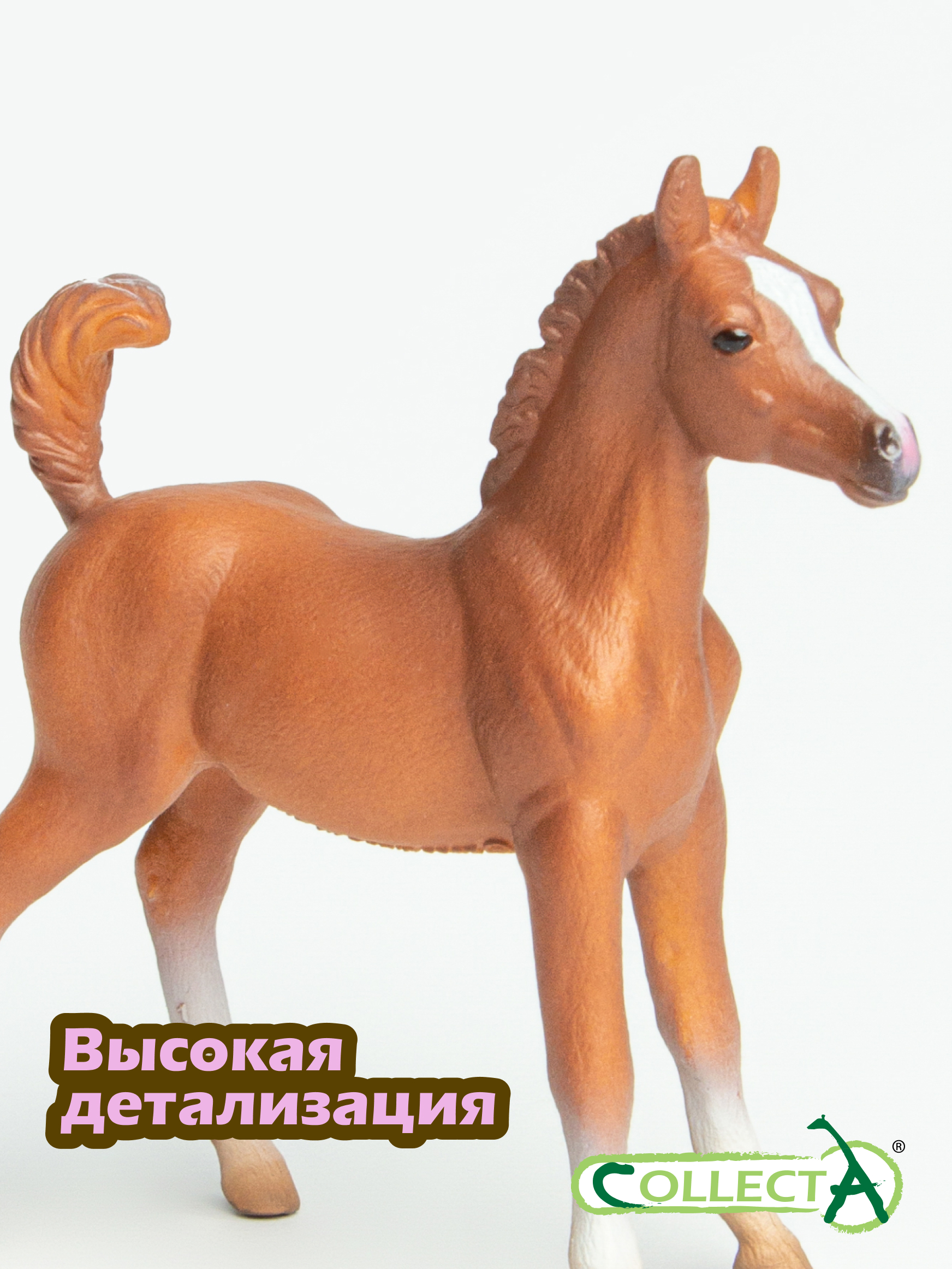 Фигурка Collecta Жеребенок лошади Арабской - фото 3