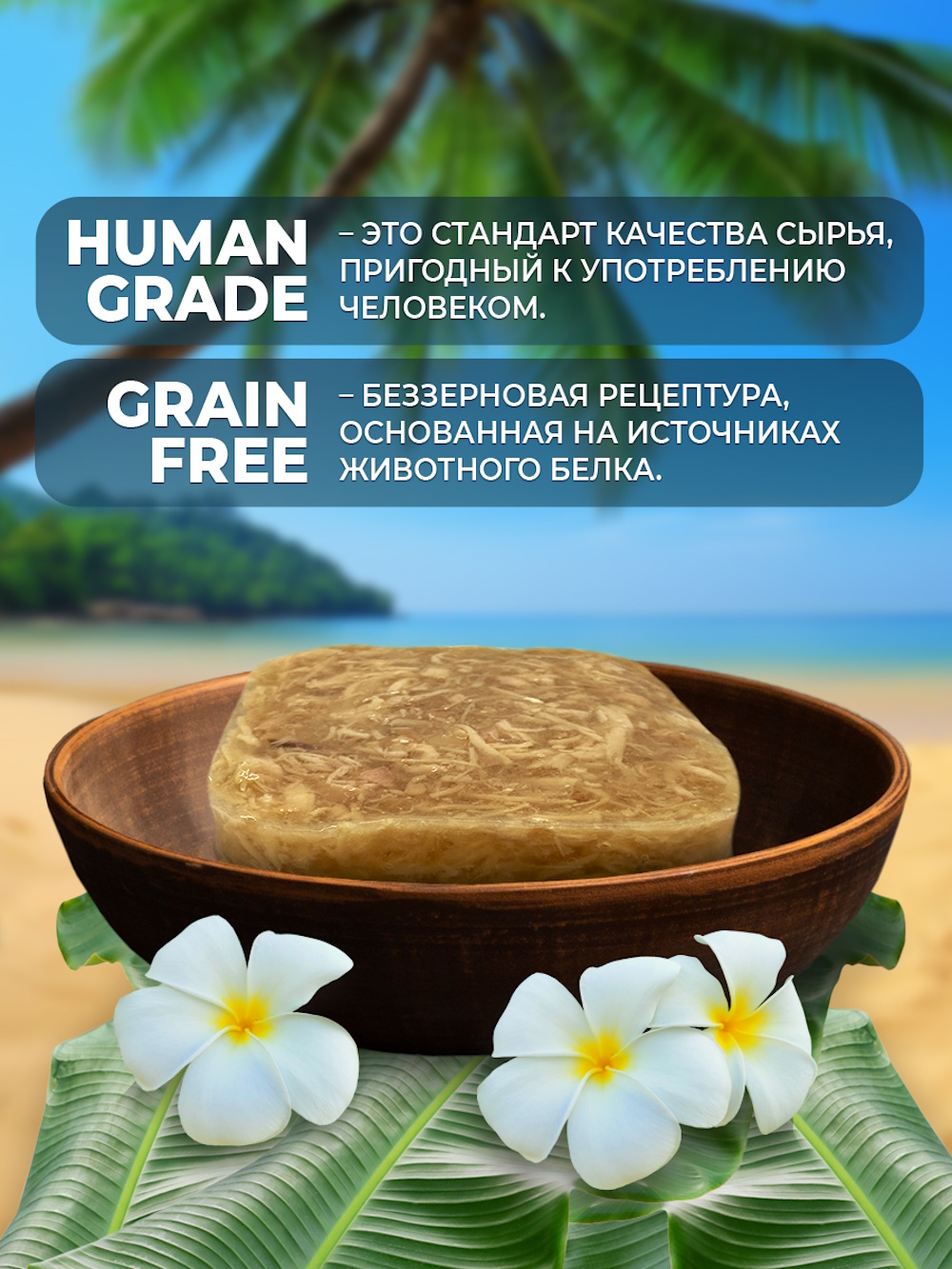 Корм для кошек Родные корма Морская серия филе курицы с кальмаром в желе по-азиатски 100г - фото 2