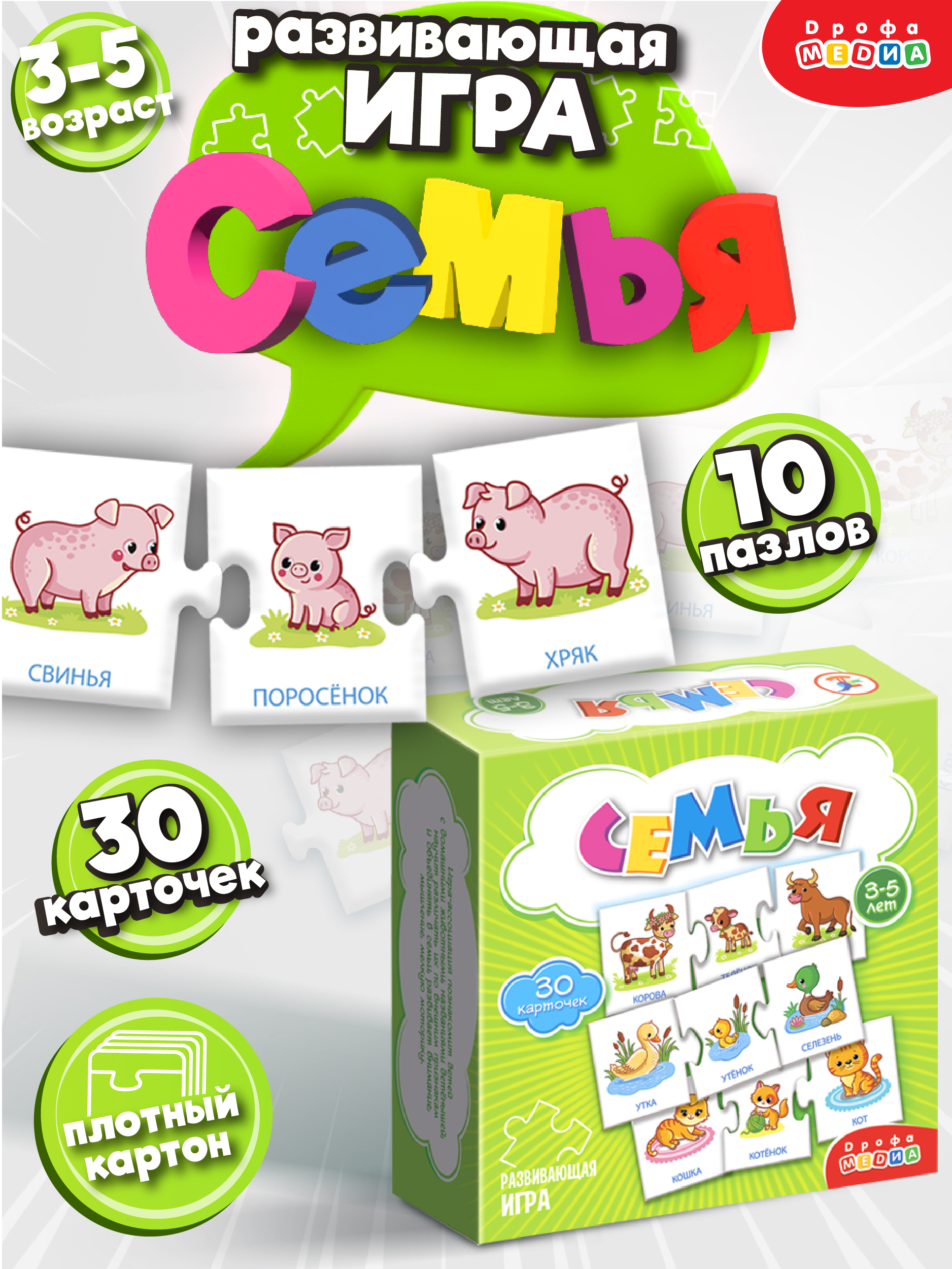 Игра развивающая Дрофа-Медиа Семья 4209 - фото 1
