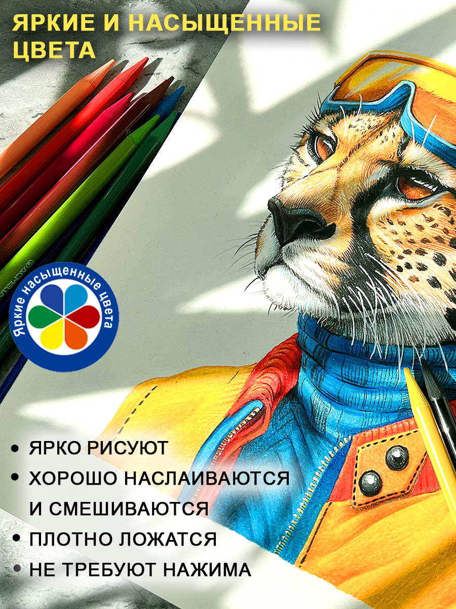 Карандаши ACMELIAE 12 шт. - фото 3