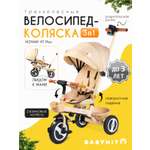 Трехколесный велосипед Babyhit 10 дюймов