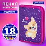 Пенал книжка Brauberg