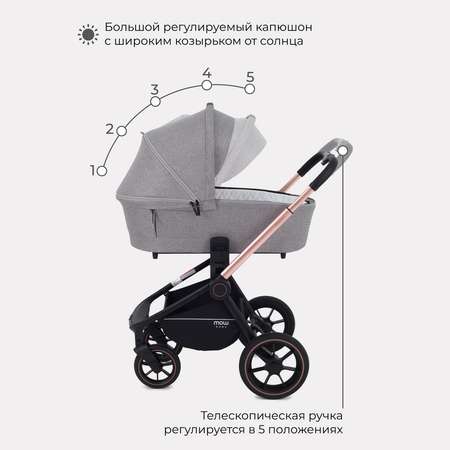 Коляска 3в1 MOWbaby Zoom