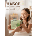 Набор для выращивания ECOSEEDS мята