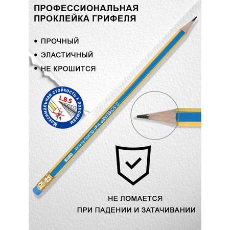 Карандаши чернографитные ACMELIAE 12 шт.