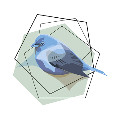 NESTbase