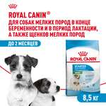 Корм для щенков ROYAL CANIN Starter мелких пород 8.5кг
