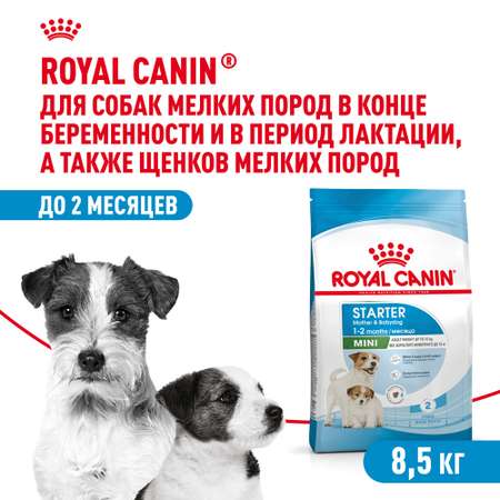 Корм для щенков ROYAL CANIN Starter мелких пород 8.5кг