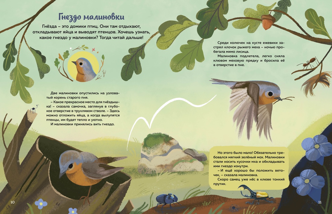 Книга Махаон Кто живёт в лесу Иллюстрированный атлас животных - фото 13