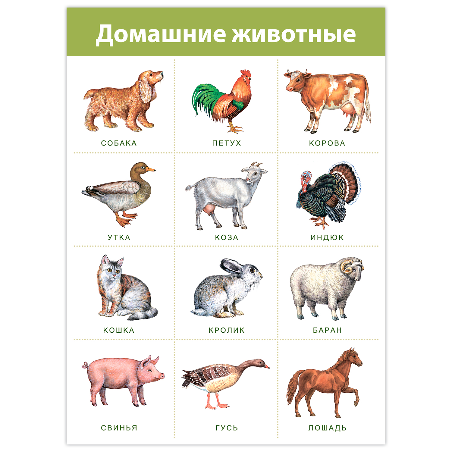 Настольная игра Дрофа-Медиа - фото 6