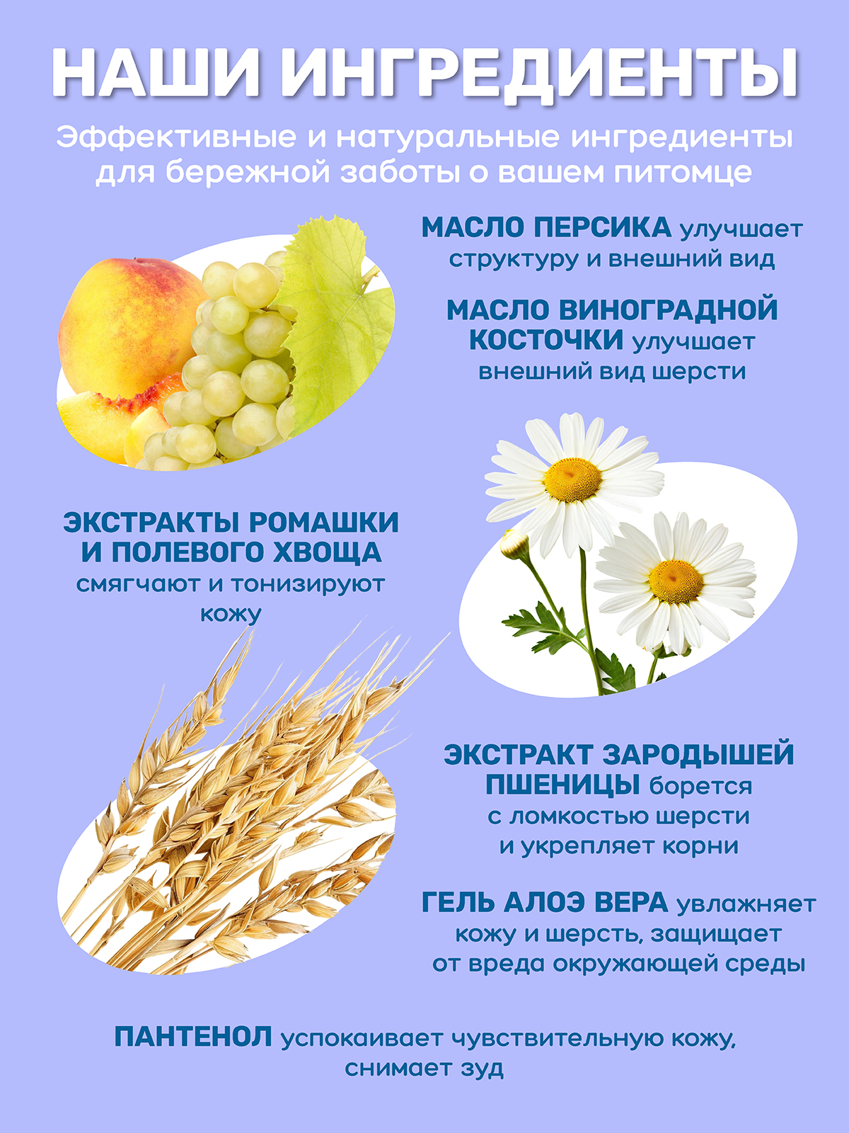 Шампунь для собак и кошек ZOORIK от выпадения шерсти 1000 мл - фото 6