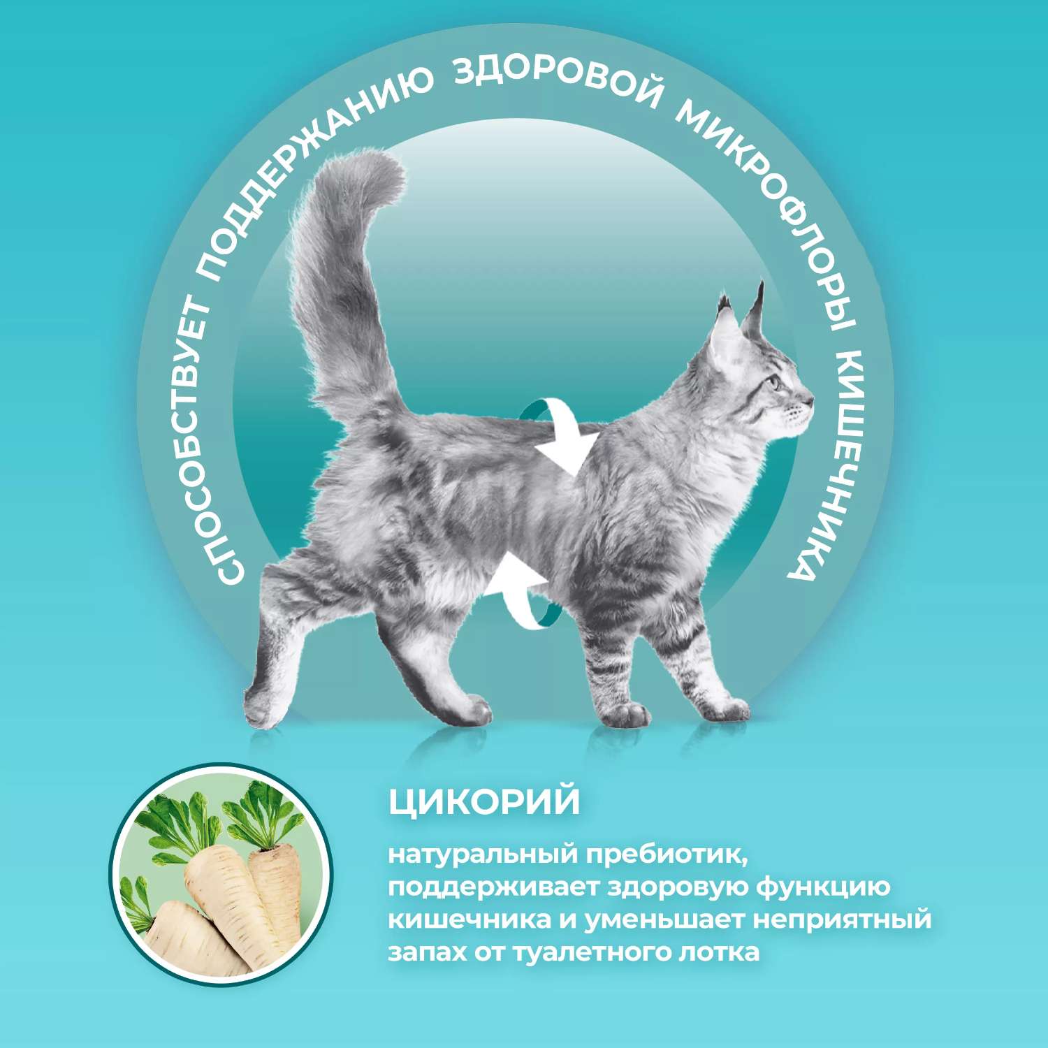Корм для стерилизованных кошек Purina One Курица 950г - фото 3