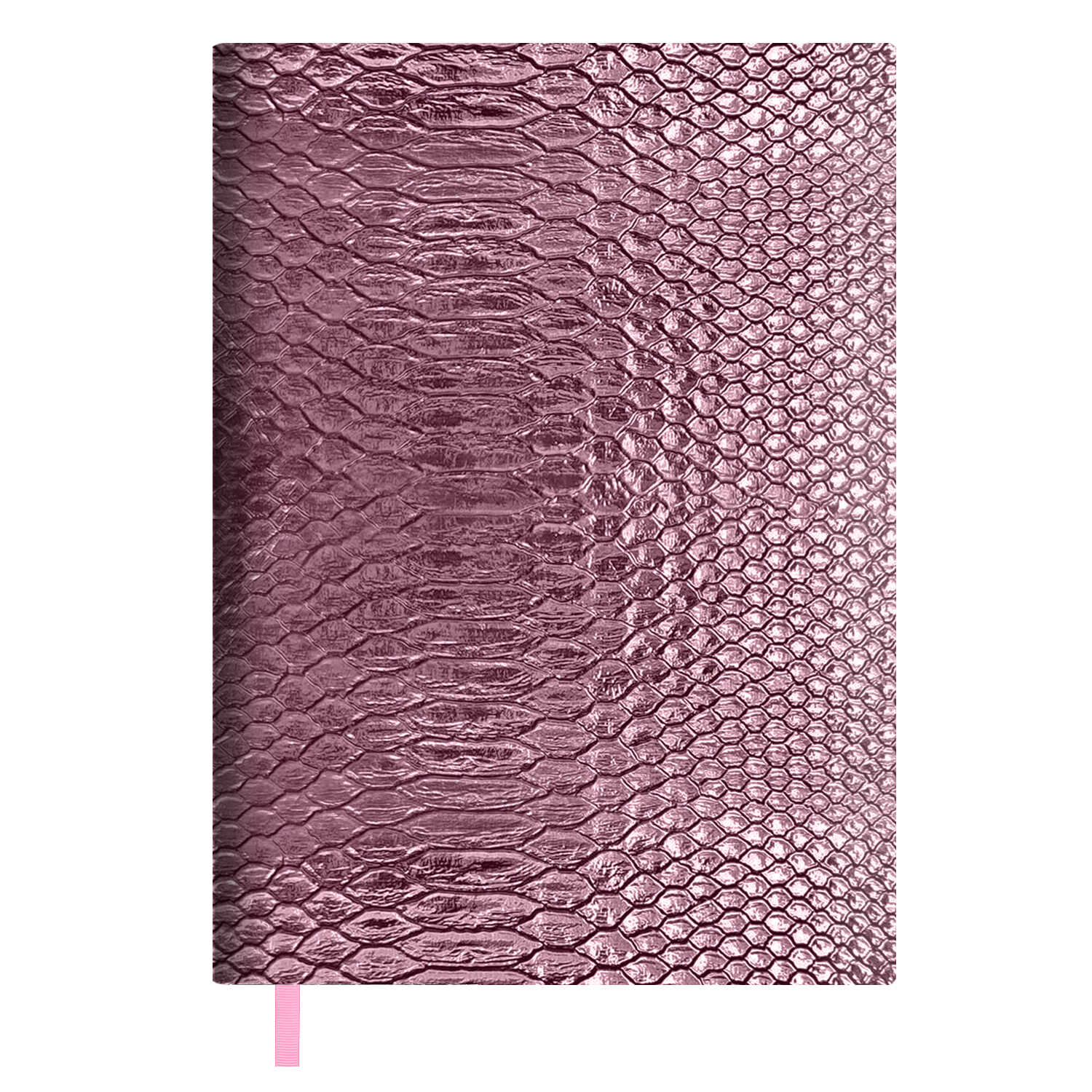 Ежедневник Феникс + ESCALADA 160 лист. - фото 1