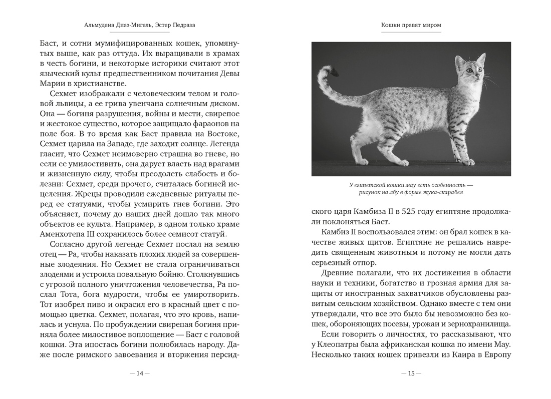 Книга АЗБУКА Диаз Мигель А Педраза Э Кошки правят миром - фото 16