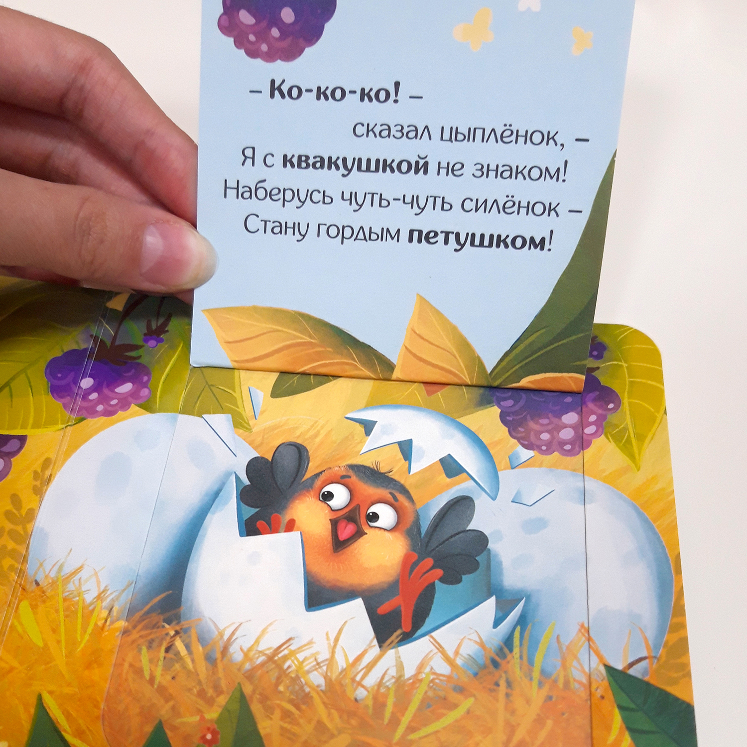 Набор детских книг с окошками Malamalama Прятки для самых маленьких - фото 11