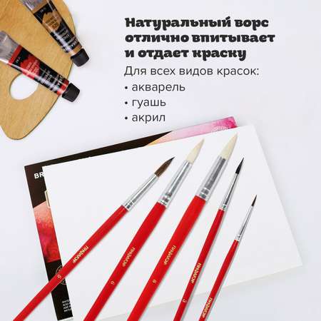 Кисть Пифагор 5 шт. (коза, белка, пони)