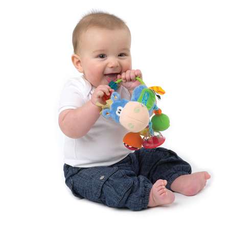 Погремушка Playgro Ослик мягкая 0101145