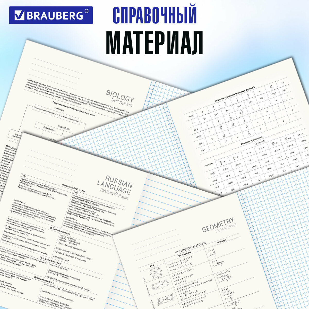 Тетрадь Brauberg 48 лист. 12 шт. - фото 4