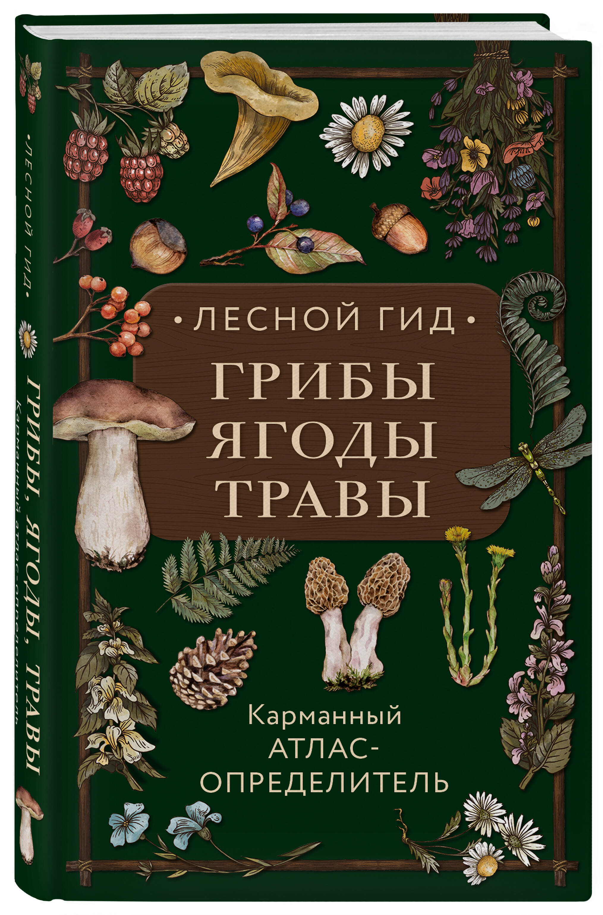 Книга Эксмо Лесной гид грибы ягоды травы Карманный атлас определитель - фото 1