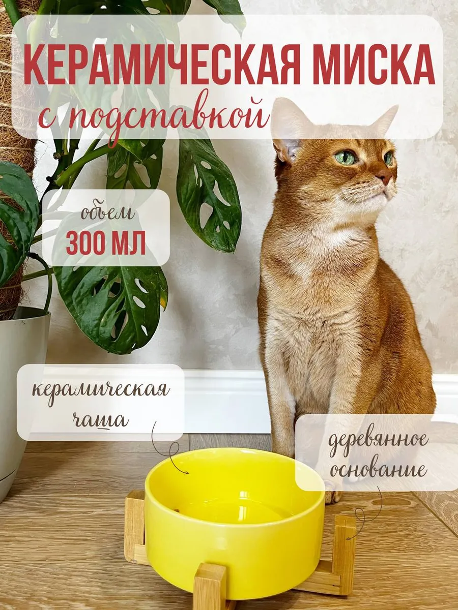 Миска для кошек и собак Qalla на подставке - фото 1