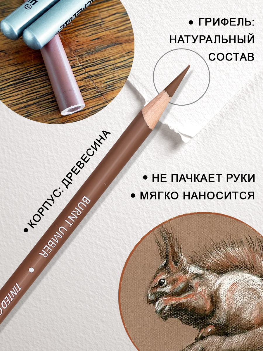 Уголь ACMELIAE 6 шт. - фото 5