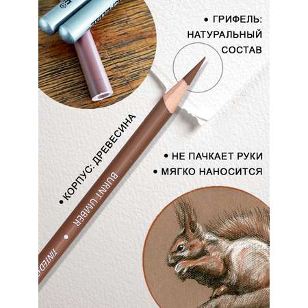 Уголь ACMELIAE 6 шт.