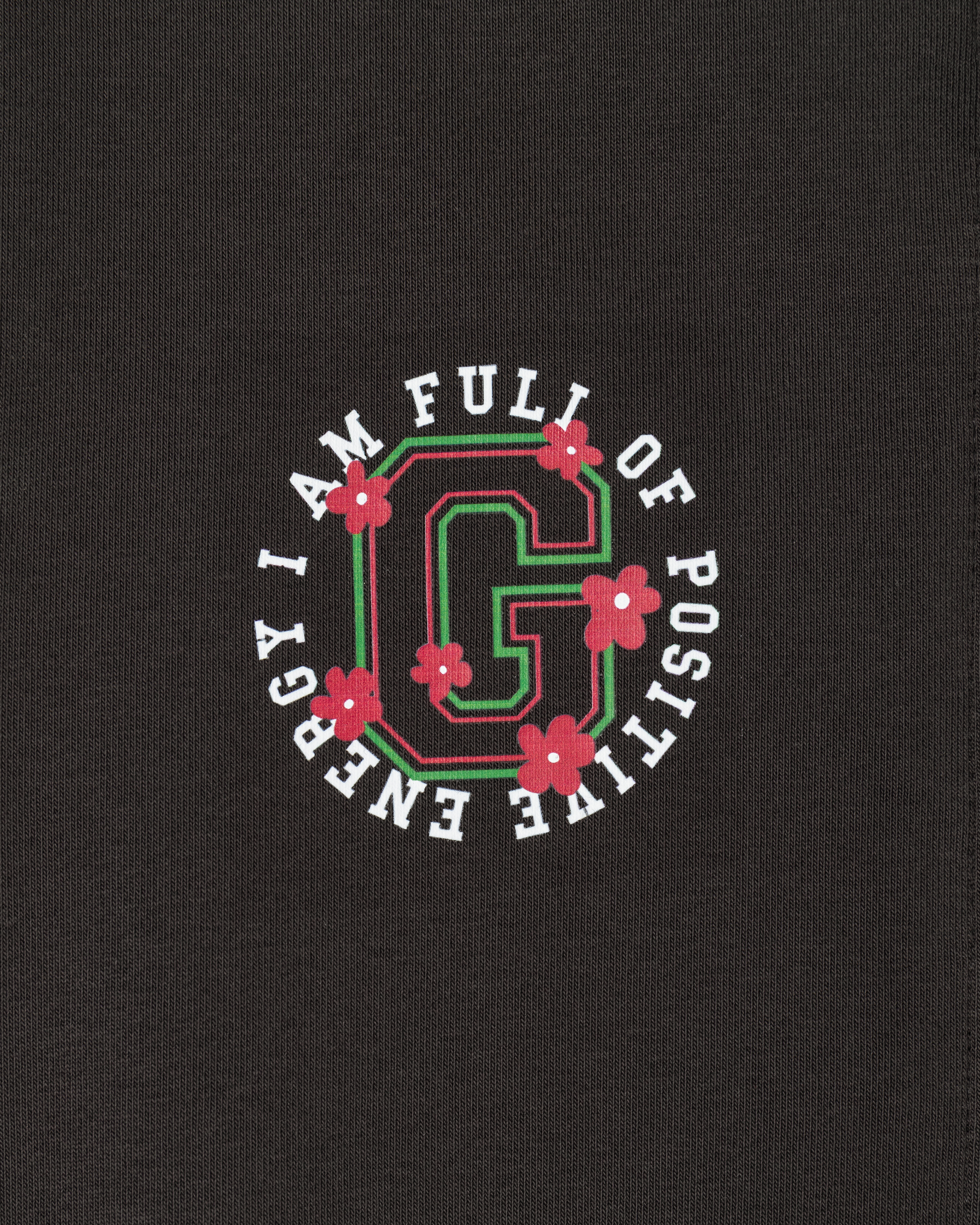 Толстовка Futurino Fashion SS26FF-2GJ25tg-DG - фото 3