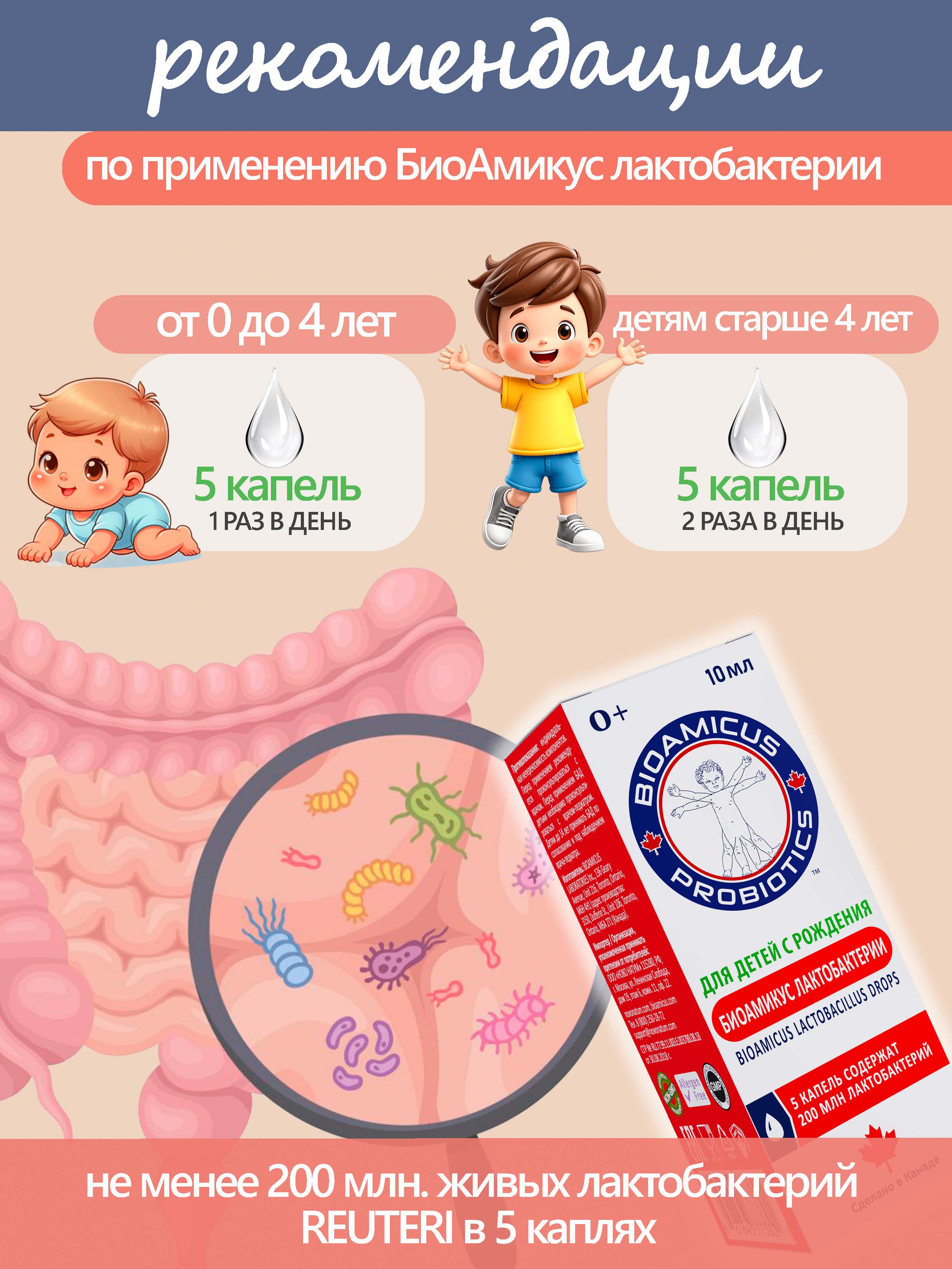 Пробиотик Лакто Реутери BioAmicus В каплях с рождения 10 мл - фото 4