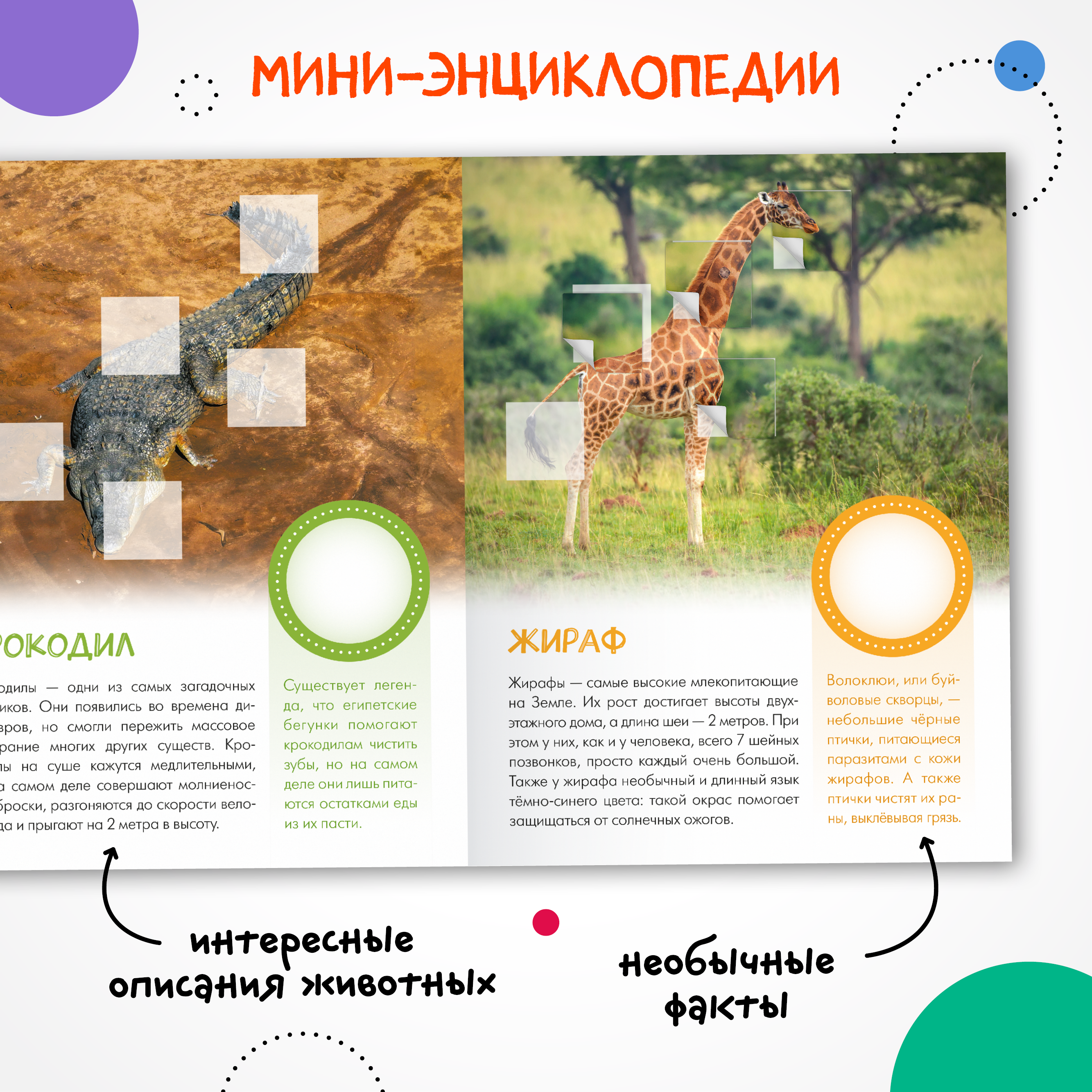 Набор МОЗАИКА kids Мир животных с наклейками 4 книги с наклейками - фото 7