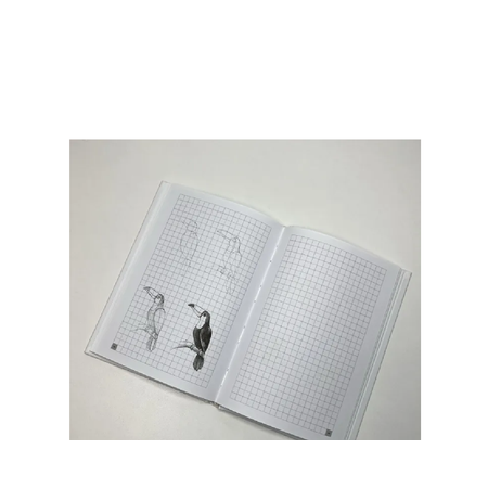 Книга АСТ Экспресс-курс по рисованию для начинающих