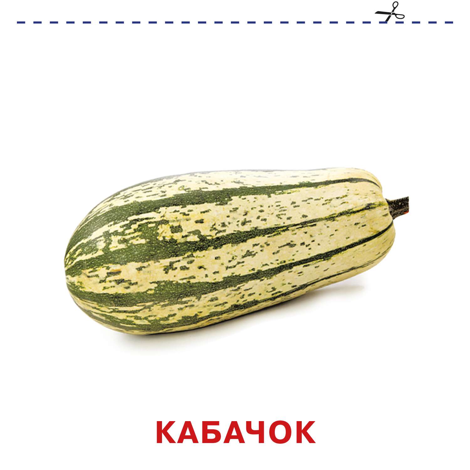 Книга карточки для малышей Овощи - фото 4