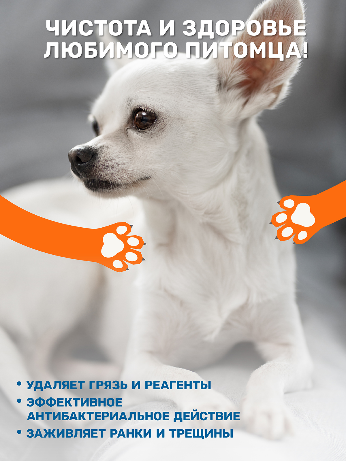 Пенка для мытья лап защита и питание ZOORIK антибактериальная с экстрактом золотой сосны и гидролатом монарды 150 мл - фото 4