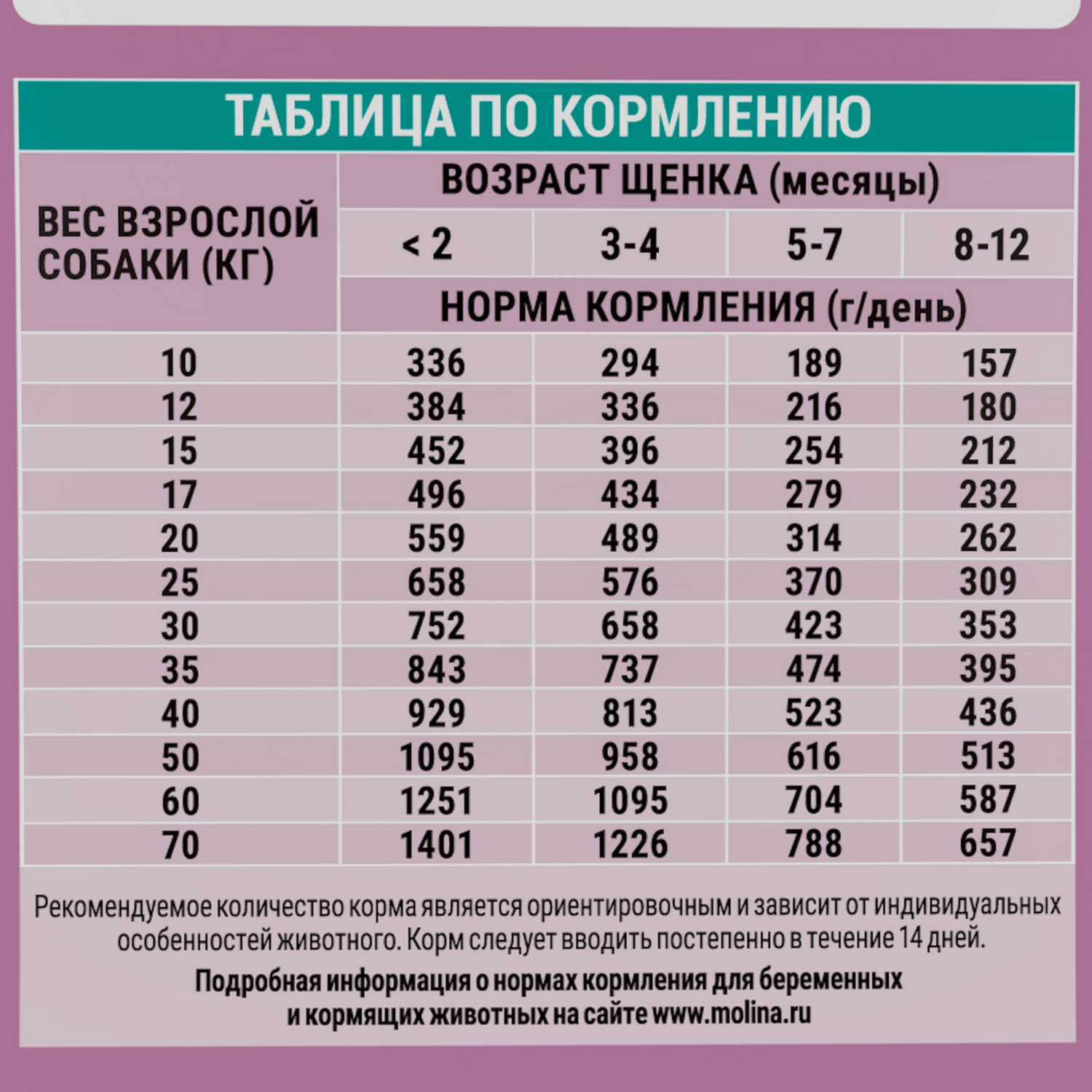 Корм для щенков средних и крупных пород Molina сухой с индейкой и телятиной 2кг - фото 7