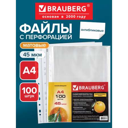 Файл Brauberg А4