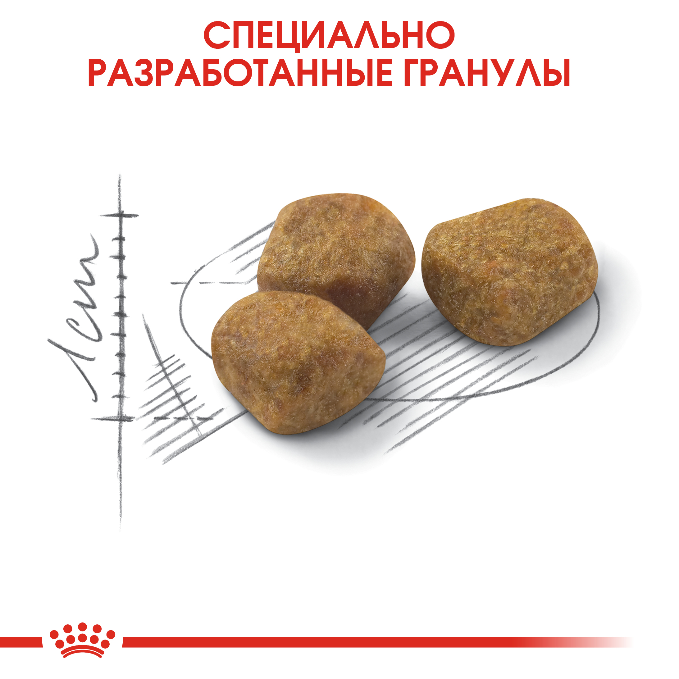 Корм сухой для кошек ROYAL CANIN Indoor 400г пожилых кошек постоянно проживающих в помещении - фото 8