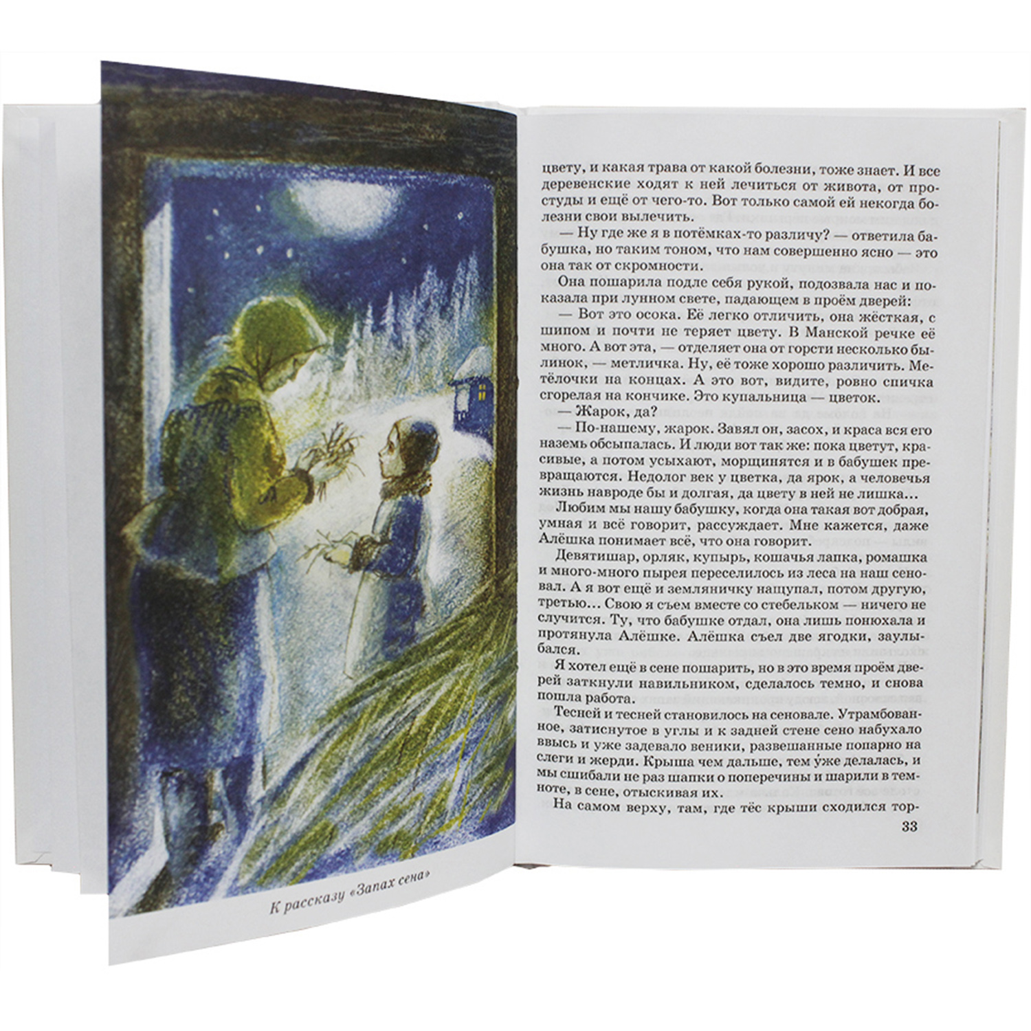 Книга Искатель Конь с розовой гривой - фото 5