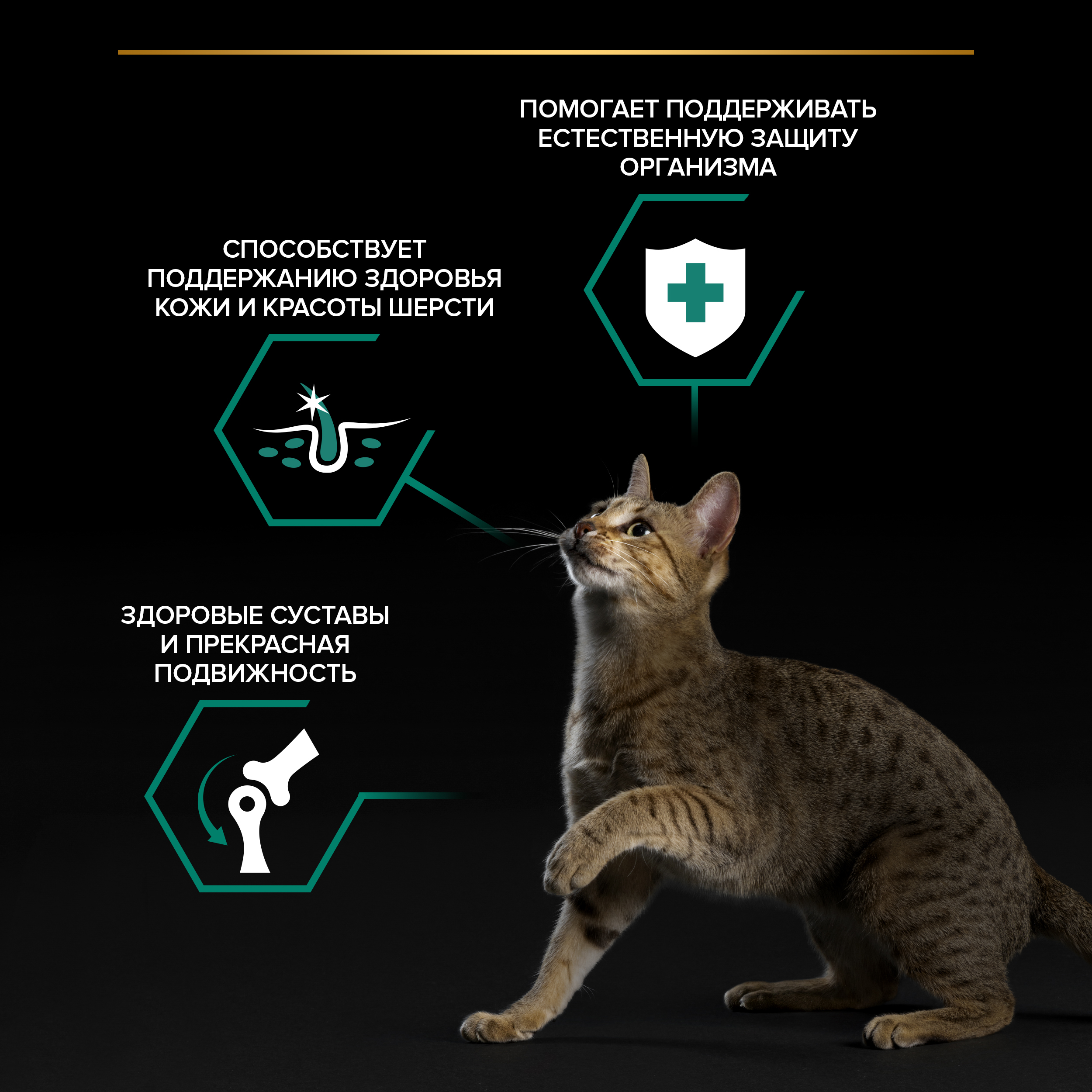 Корм влажный для кошек PRO PLAN MAINTENANCE 85г с ягненком в желе - фото 5