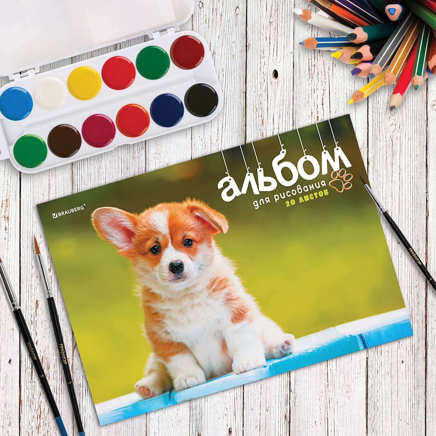 Альбом Brauberg А4 20 лист. 4 шт. - фото 9