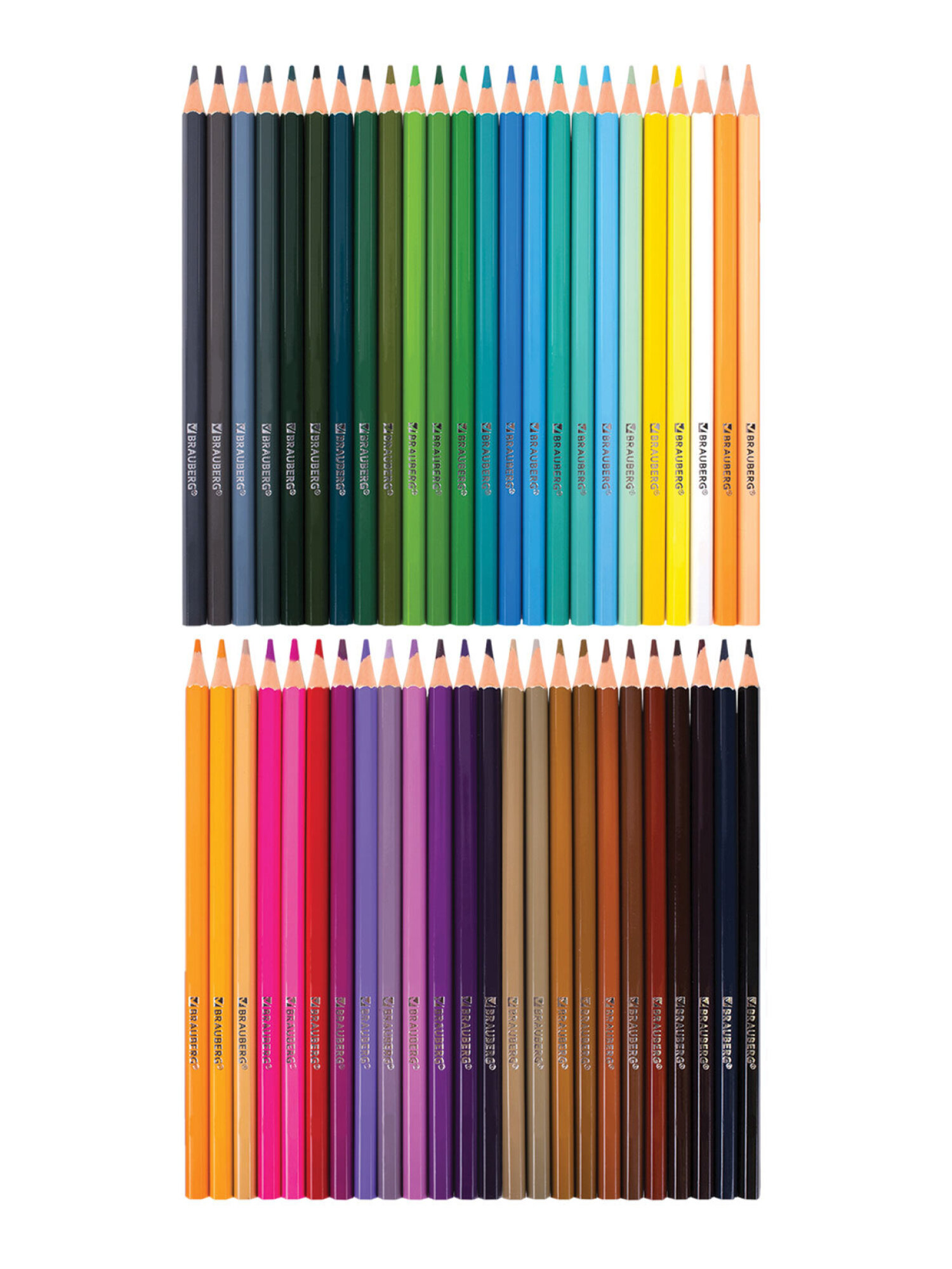 Карандаши цветные Brauberg 48 шт. - фото 9