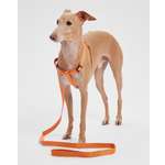 Поводок для собак Barbaks оранжкевый жакард 2*120см полиэстер