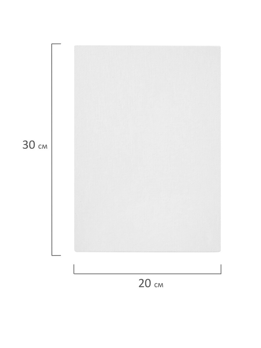 Холст для рисования Brauberg на картоне большой 40x60 см набор 2 штуки - фото 3